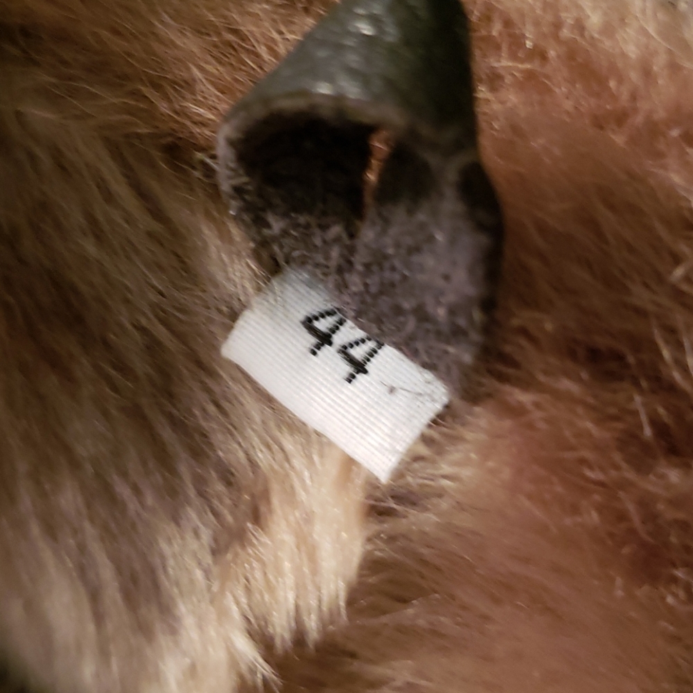 Artico Shearling - image 5